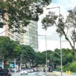 Avenida Madre Thereza tem interdição parcial domingo (19)