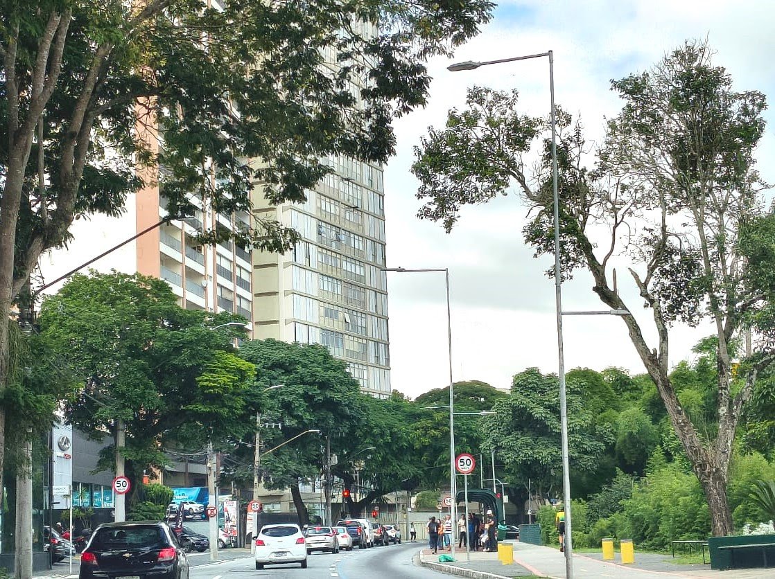Avenida Madre Thereza tem interdição parcial domingo (19)