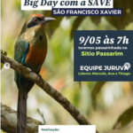 Global Big Day mobiliza observadores de aves em São Francisco Xavier