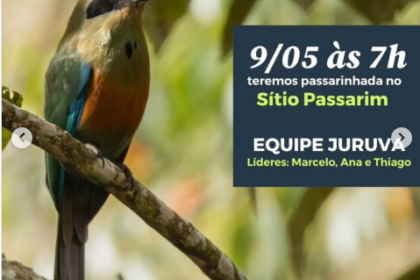 Global Big Day mobiliza observadores de aves em São Francisco Xavier