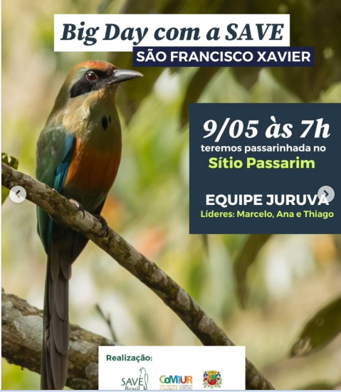 Global Big Day mobiliza observadores de aves em São Francisco Xavier
