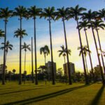 Parque da Cidade recebe 1ª edição do Sanja Coffee Party neste domingo (24)