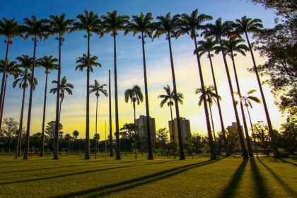 Parque da Cidade recebe 1ª edição do Sanja Coffee Party neste domingo (24)