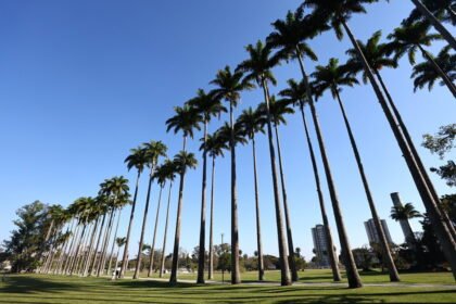 Parque da Cidade recebe desafio que busca recorde mundial de cross training neste domingo (7)