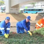 São José reforça zeladoria e manutenção urbana antes das comemorações pelos 259 anos da cidade