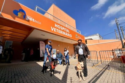 Novo Hospital Veterinário inicia vacinação antirrábica e microchipagem gratuitas em São José