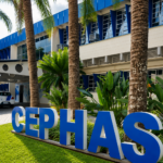 Cephas abre vestibulinho 2027 com 440 vagas gratuitas em sete cursos técnicos