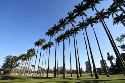 City Tour promove roteiro especial pelo Parque da Cidade