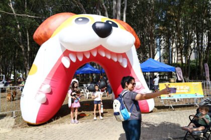 Feira de adoção reúne cães e gatos neste domingo (13) em São José